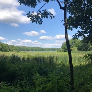 Meet your Posher, Jacob